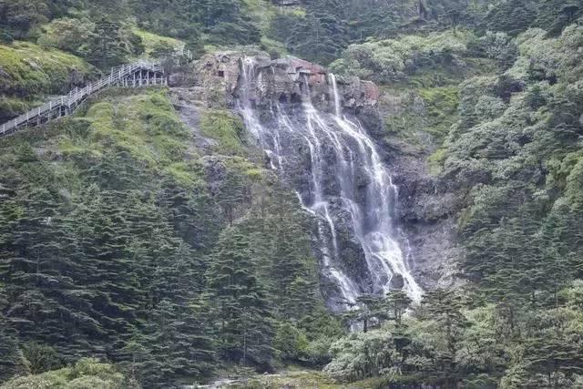 叶罗丽:罗丽身上竟然存在两份契约,好在契约者都是罗丽所爱之人